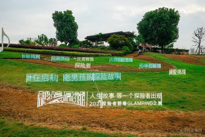 那款洗发水去屑效果最好？